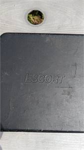Escort 9500ix Passport